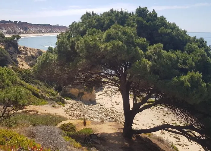 Apartamento Casa Da Albufeira