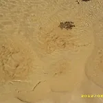 Apartmán Casa Da Albufeira